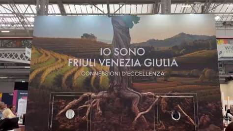 Vini: Fedriga, a Fiera Londra per far crescere export Fvg